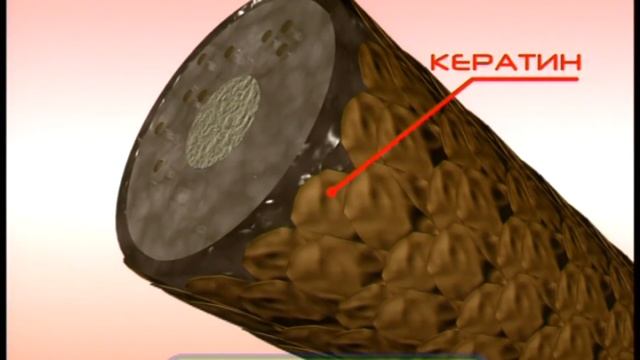 Галилео. Краска для волос смотреть онлайн
