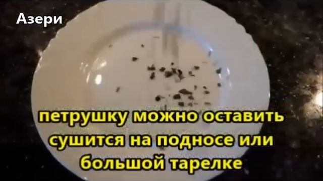 Как сушить зелень на зиму смотреть онлайн