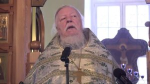 Проповедь на Вход Господень в Иерусалим. Дмитрий Смирнов