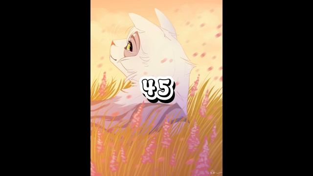 Warrior Cats Super OC Maker