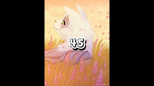 Warrior Cats Super OC Maker