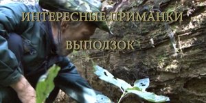 ИНТЕРЕСНЫЕ ПРИМАНКИ - 
ВЫПОЛЗОК