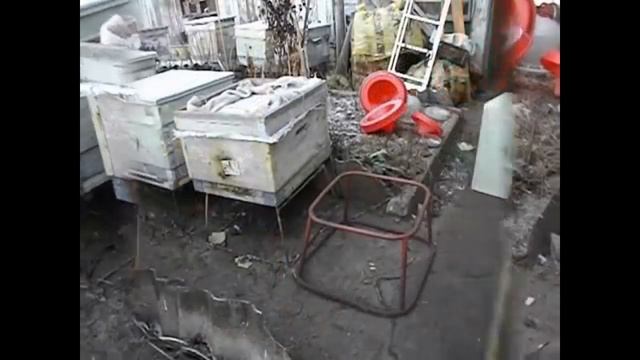 работа на пасеке в ноябре - начинается зимовка пчел в ульях из дерева смотреть онлайн