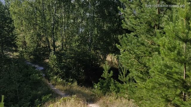 Гора, здравствуй! Виктор Белоглазов Жизнь-в-Радости | ПланетаДушевная.рф смотреть онлайн