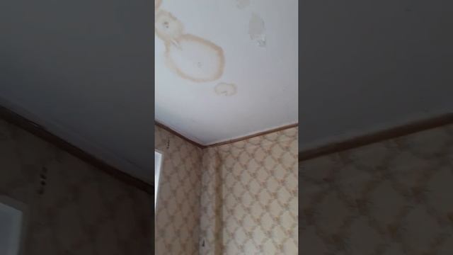Дальневосточный.3 этаж смотреть онлайн