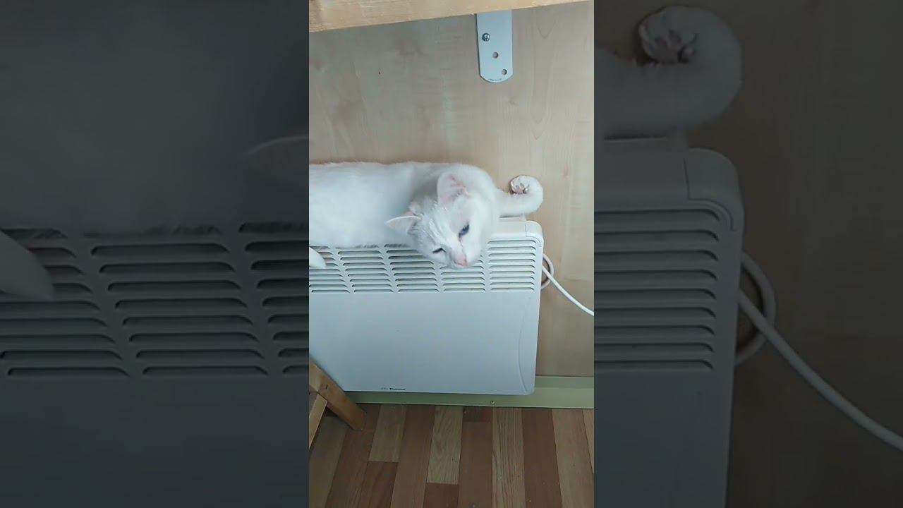 Стрелочка греется