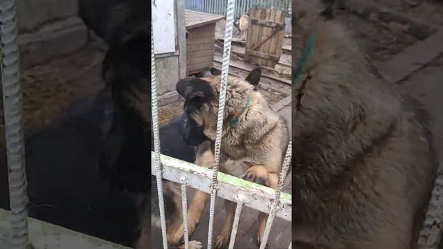 24 мая 2020 г. смотреть онлайн