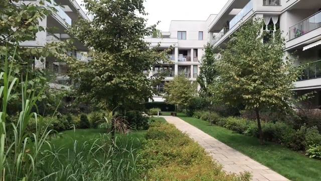 🌳Гуляем-болтаем:)👭 Wilanow/Варшава смотреть онлайн