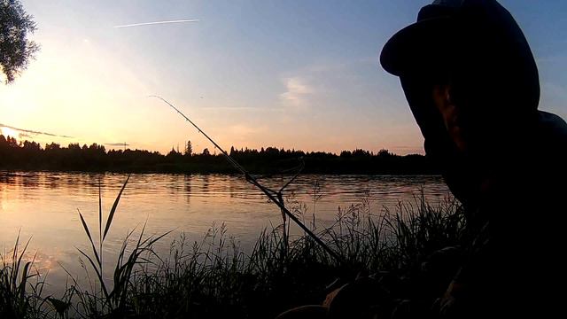 Глухолетье. Или фидер с комарами - Болен Рыбалкой №356 смотреть онлайн