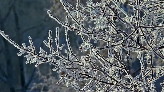 ПОЧЕМУ ИДЁТ СНЕГ? ЧТО ТАКОЕ СНЕГ? ОТКУДА ОН БЕРЁТСЯ? смотреть онлайн