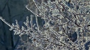 ПОЧЕМУ ИДЁТ СНЕГ? ЧТО ТАКОЕ СНЕГ? ОТКУДА ОН БЕРЁТСЯ?