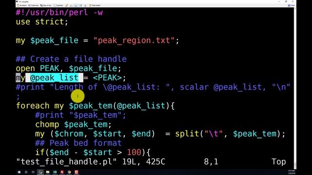 Perl读写文件和命令行参数 смотреть онлайн