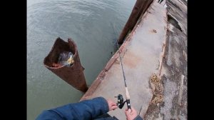 Таманский залив, Гаркуша, бычки.