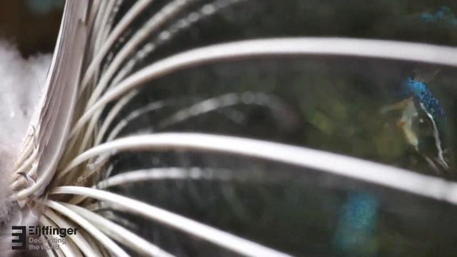 Eijffinger Reflect wallpaper - обои для стен смотреть онлайн