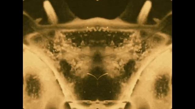 Plant Matters.MP4 смотреть онлайн