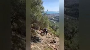 Видео - Высоцкий : Парня в горы тяни, рискни!!!»...