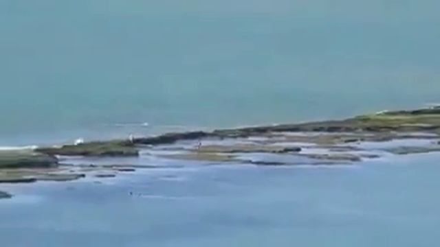 That's ZUM in the cell !!! Вот это ЗУМ в камере !!! смотреть онлайн