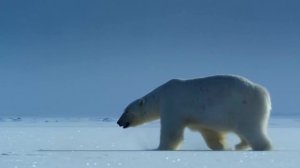 Гренландия — Как Викинги Открыли Самый Большой Остров в Мире!