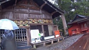 Как съездить в Японию дешево