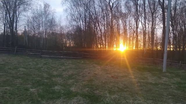 Самое дешëвое отопление для теплиц/горячая пора в деревне/деревенская жизнь. смотреть онлайн