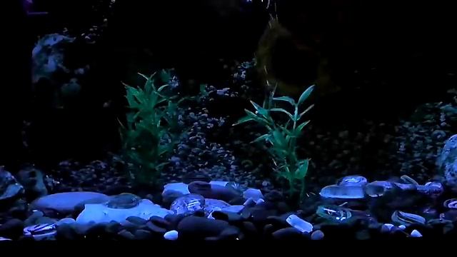 подсветка аквариума своими руками смотреть онлайн