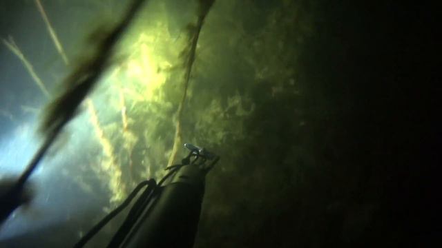 Осенние Судаки ночью!!!Подводная охота в конце октября 2018!!! смотреть онлайн