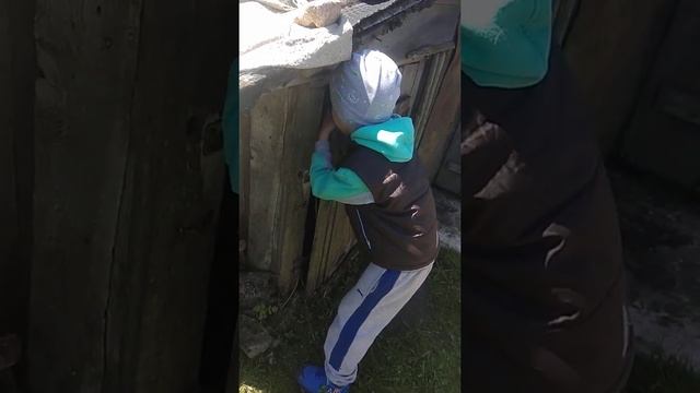 Деревня Вороничи.Экскурсия смотреть онлайн