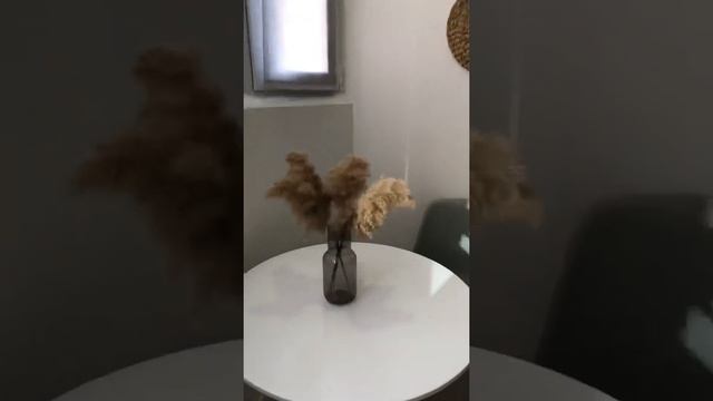 Студия в скандинавском стиле 20 м. смотреть онлайн