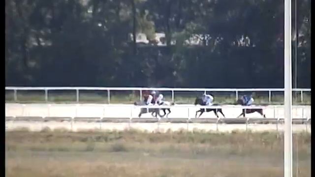 Пятигорск 12.09.10г.Приз Сравнения на лош. 4-х и ст. ар.пор. смотреть онлайн