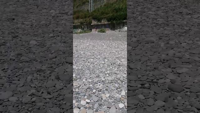 поезда проезжает посёлок городского типа Дагомыс смотреть онлайн