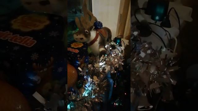 Сделай Сам по-Мастерски