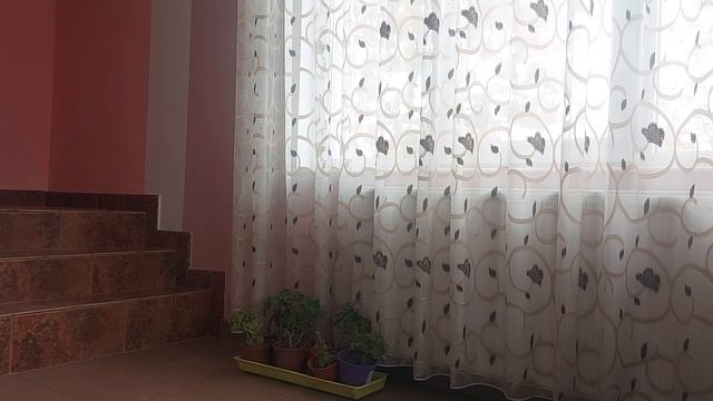 Cum Pregatim Si Pastram Muscatele Peste Iarna