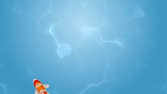CAT TV Fish | ? Catch The Koi Fish | Cat Games 4K | Fish Videos For Cats | 3 Hours смотреть онлайн