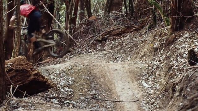 Downhill Freeride Tribute (2021) MTB #4 смотреть онлайн