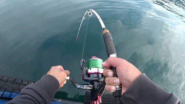 ПАЛТУС 2019. ОТКРЫТИЕ СЕЗОНА.HALIBUT. MAGADAN. SEA OF OHOTSK 4К. смотреть онлайн