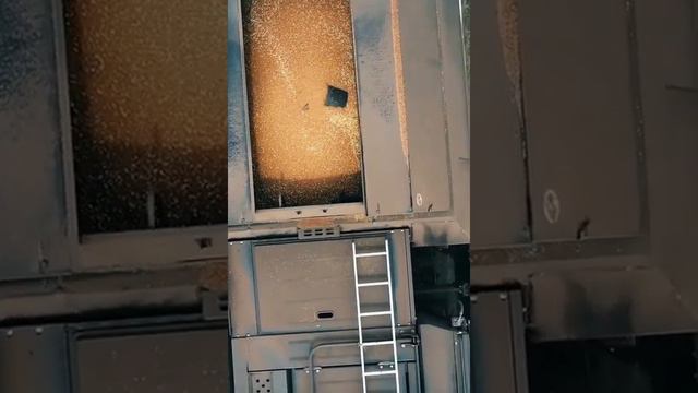 Комбайны Ростсельмаш в поле смотреть онлайн