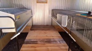 Разведение кроликов в домашних условиях, Белый великан, Калифорнийские.