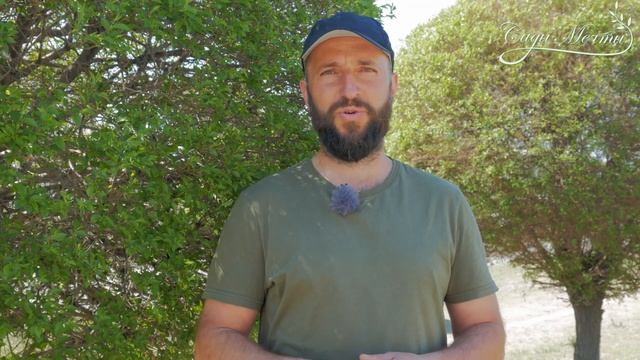 Почему я заправляюсь на таких заправках и не только. Осознанный выбор смотреть онлайн