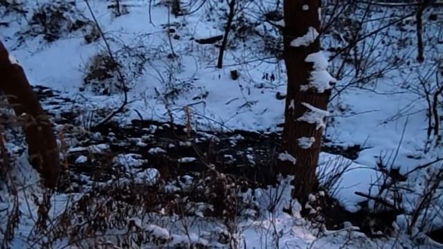 САМВЕЛ АДАМЯН ПРИЗНАЛСЯ ИРЕ МАМА НЕ НУЖНА. СИНИЕ ПЯТНА смотреть онлайн