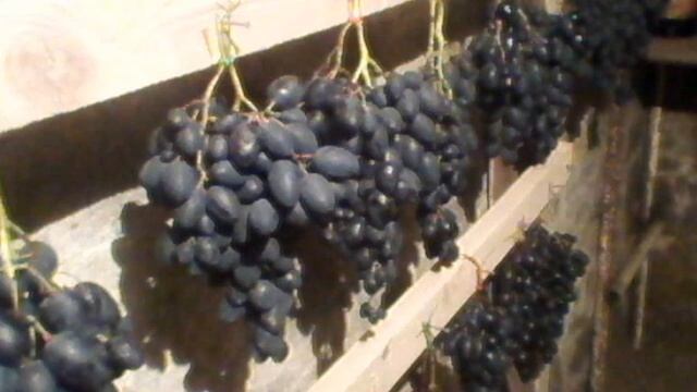 Как сохранить виноград на зиму? смотреть онлайн