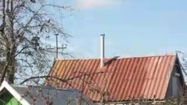 Стая птиц в небе / A flock of birds flying in the sky смотреть онлайн