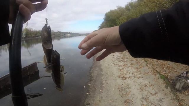 Рыбалка. Днестровские бычки. Природа. Дом, где жил Порошенко смотреть онлайн