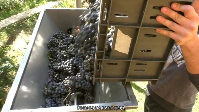 Мялка для винограда с гребнеотделителем из Италии. Хит продаж! смотреть онлайн