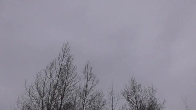 Тетеревятник Атака. Кормление хищника! Эмоции. смотреть онлайн