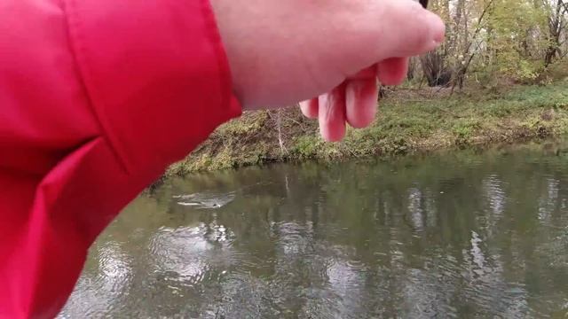 Черные воблеры тоже ловят? Strike Pro Inquisitor 110sp. Рыбалка на спиннинг. смотреть онлайн