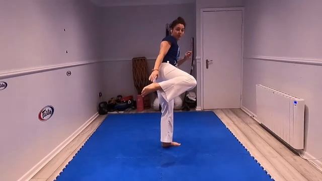 Capoeira KICKS & ESCAPES for BEGINNERS | Online class | Art of Movement Bristol смотреть онлайн