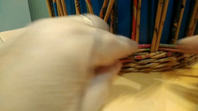 Плетем Кашпо Из Рекламок. Без Дна на Пеноплексе.Ситец двойными, Верёвочка из Трёх. Загибка Изида. смотреть онлайн