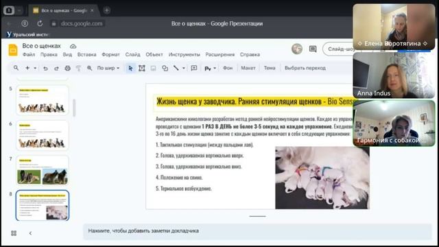 беседа о щенках ч 1 краткий обзор смотреть онлайн