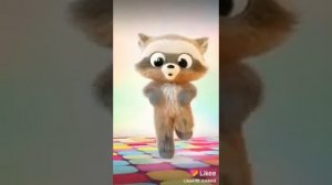 Танцы Енота и Кота