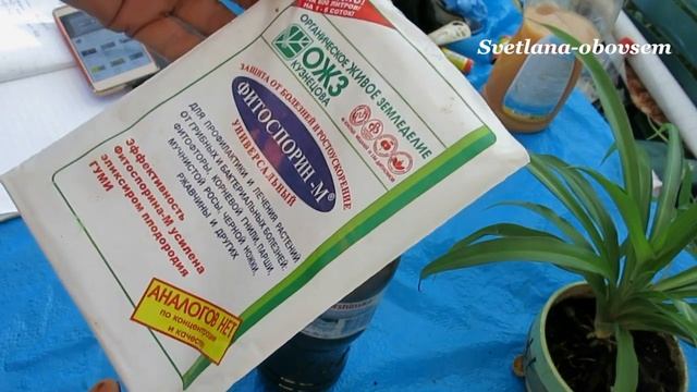 ФИТОСПОРИН -ПРИГОТОВЛЕНИЕ ,ПРИМЕНЕНИЕ , ХРАНЕНИЕ...Боремся с фитофторой ,мучнистой росой... смотреть онлайн